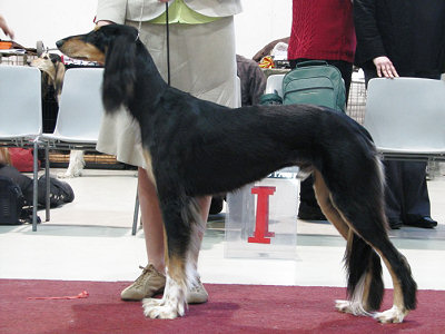 Tazillah Khair-ul-Bashar